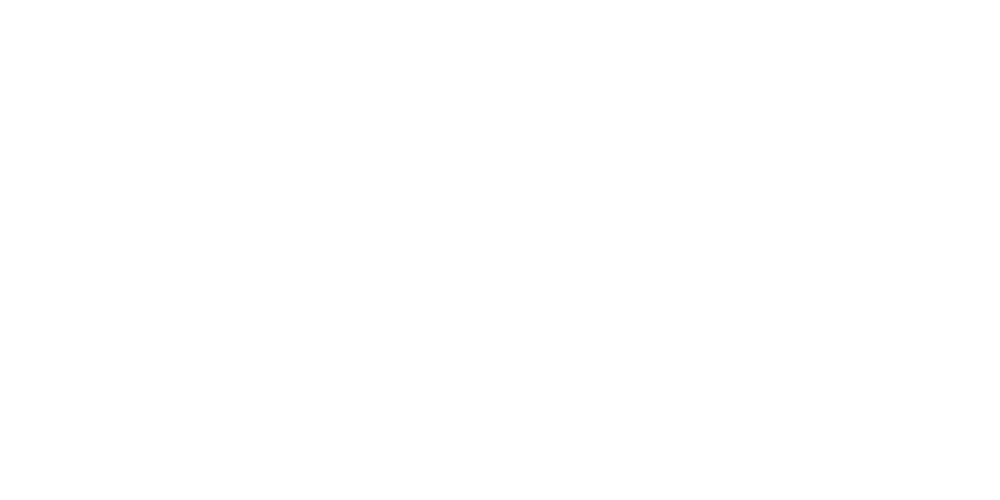 SpiderIT Logo